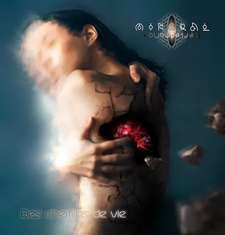 Mineral Reflectance : Des Chemins de Vie